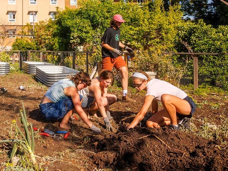 four students work in the pitzer garden