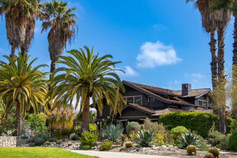 The Grove House seated between palm tress and clear blue skies