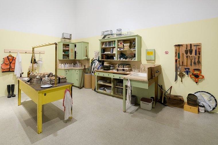 Installation view of The Ocelots of Foothill Boulevard, January 23 – March 31, 2016 at Pitzer College Art Galleries. Photograph courtesy of Ruben Diaz. 