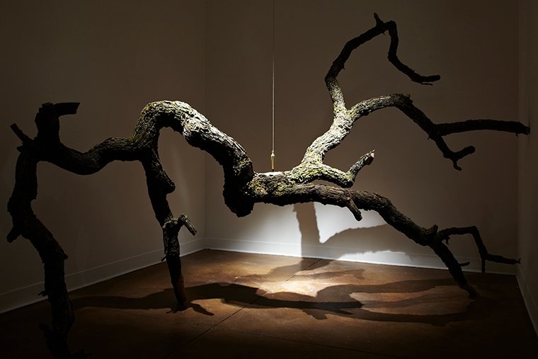 Installation view of Matthew R. Ohm: Vanitas at Pitzer College Art Galleries, January 21 – March 23, 2012. 