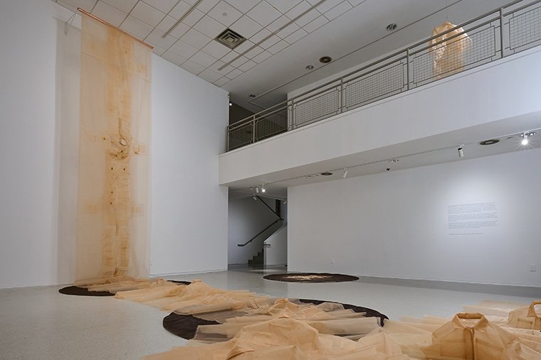 Carmen Argote's Nichols Gallery installation.