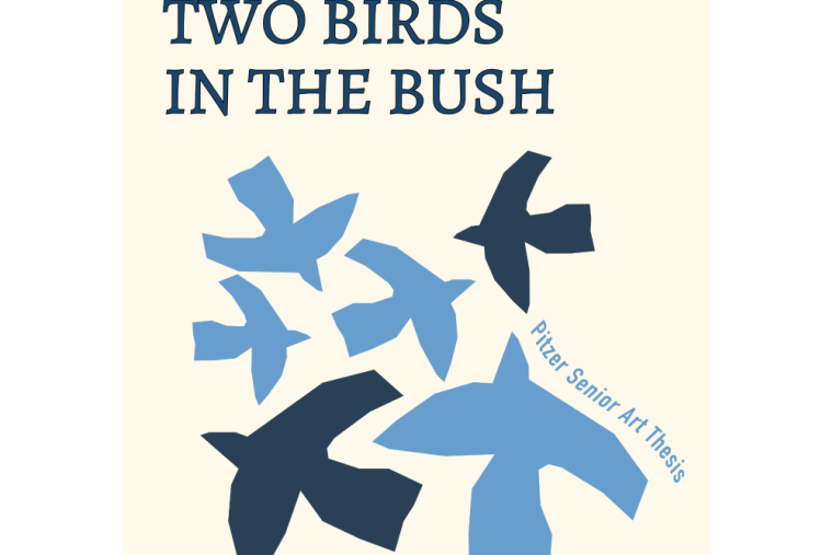 Graphic featuring drawn birds