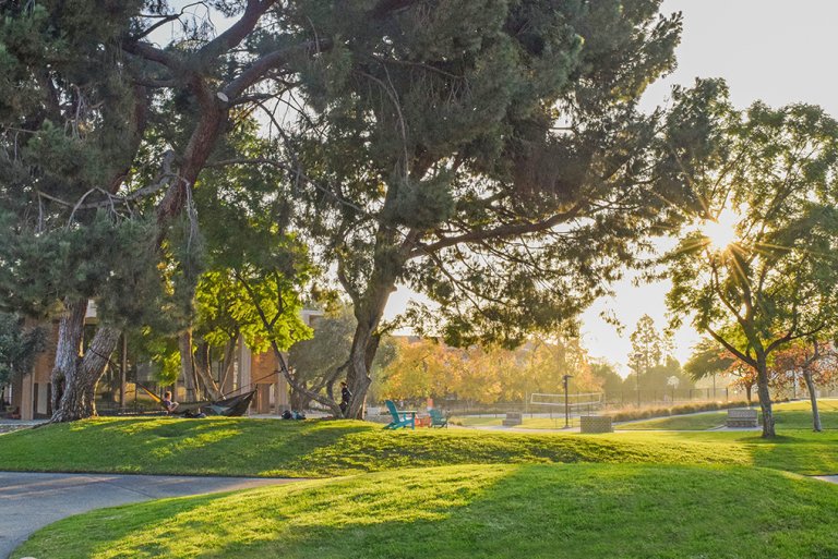 Photo of the Mounds
