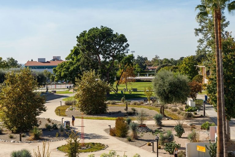 a student walks through holden garden