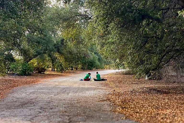 two student sit on the ground surrounded by oat trees at the Bernard Field Station