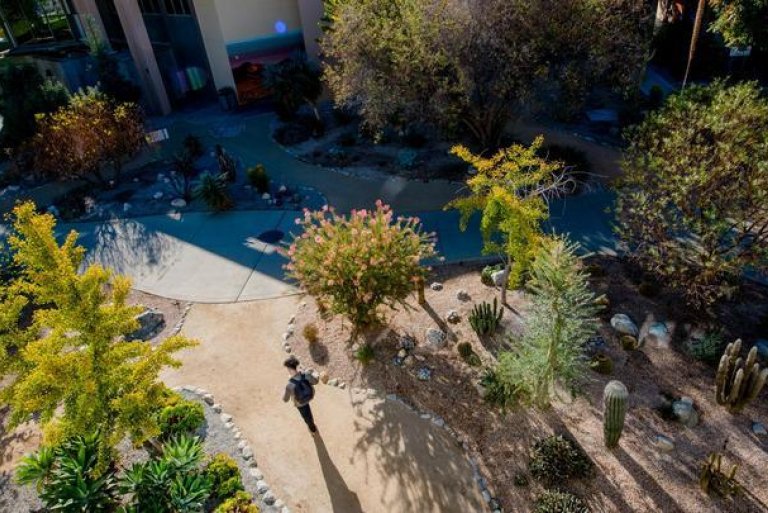 a student walks on a path in scott courtyard