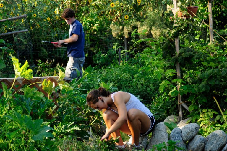two students work in the pitzer garden