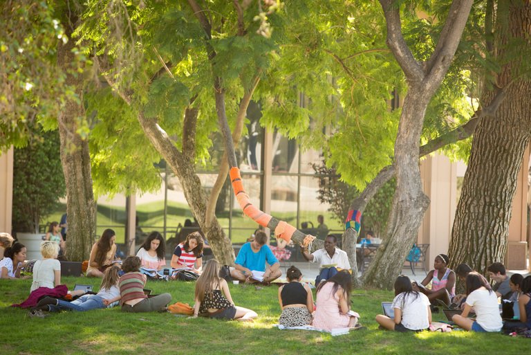 a circle of students sitting on the mounds taking notes while an instructor teaches