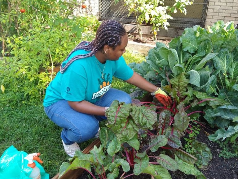 Yaquana Williams at a garden bed filled with leafy greens. 