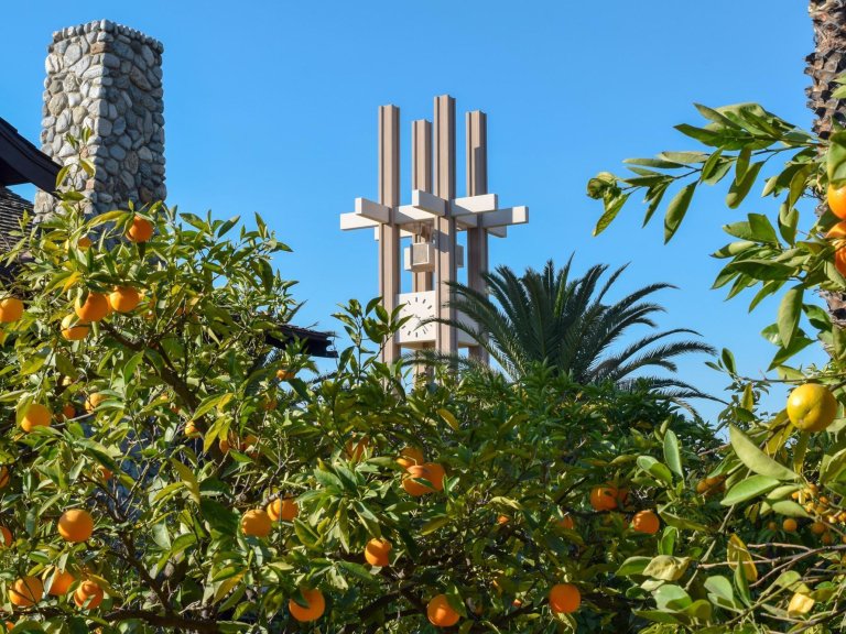 the pitzer clock tower peaks out above the orange trees at the grove house
