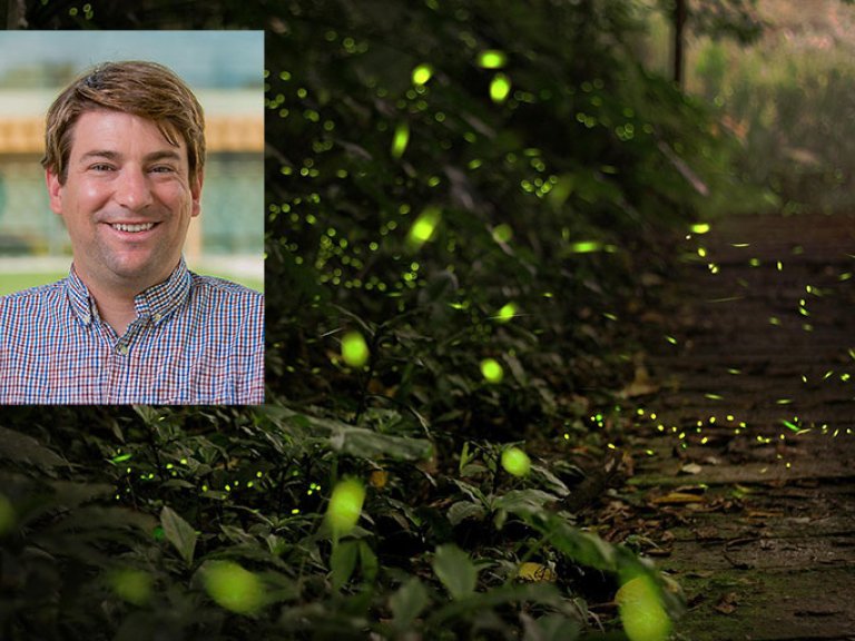 headshot of Aaron Leconte superimposed over an images of fireflies on a dark background