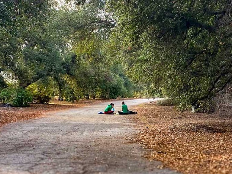 two student sit on the ground surrounded by oat trees at the Bernard Field Station