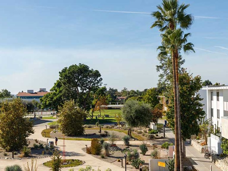 view of holden garden from the gold student center