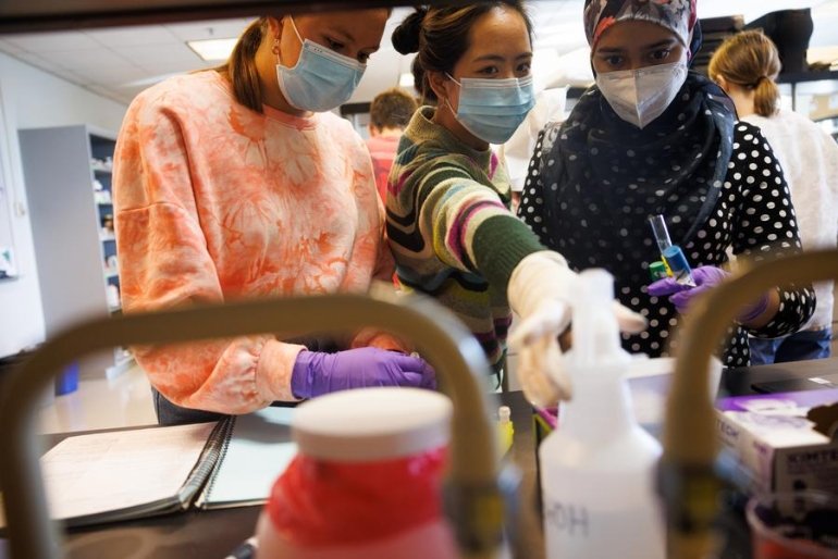 Students working in a molecular biology lab