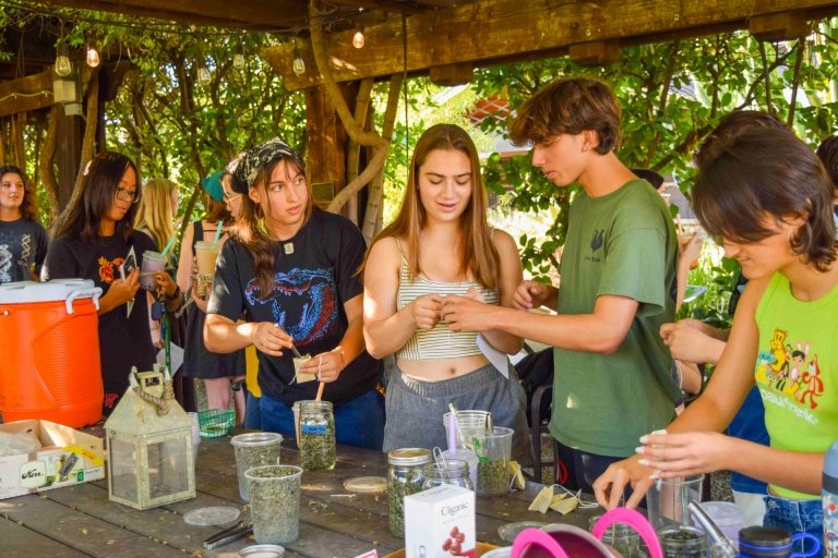 Students participate in a clean air day project