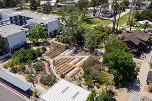 Photo of the Student Garden after renovation a year later.
