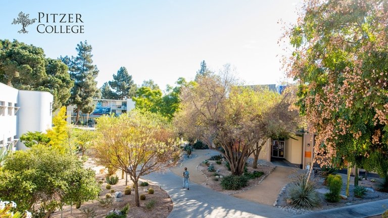 Virtual Background of Academic Courtyard Pathway