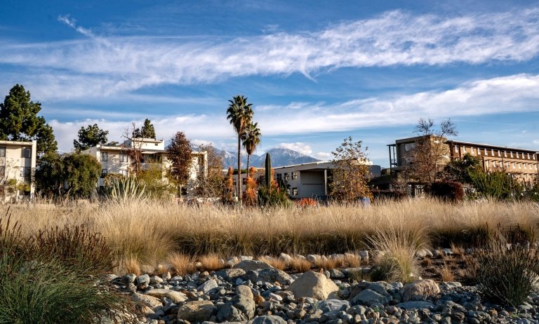 a view of the landscape of holden gardn with the gold student center in the background