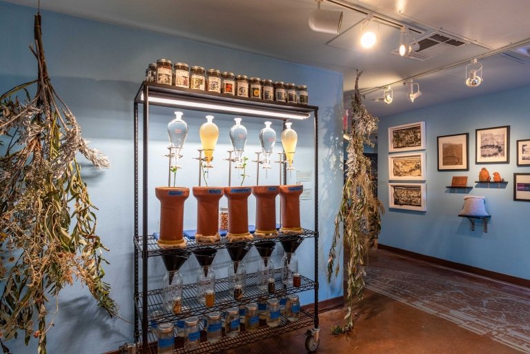 Separatory funnels hang above potted plants as part of Lauren Bon's exhibition, "Bending the River."