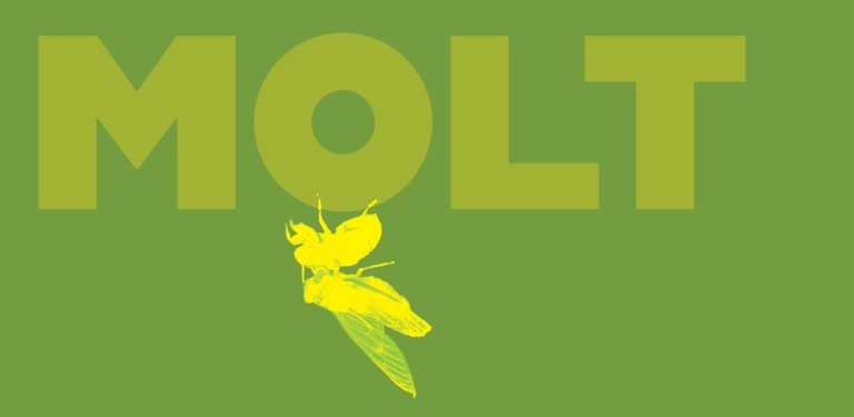 Molt