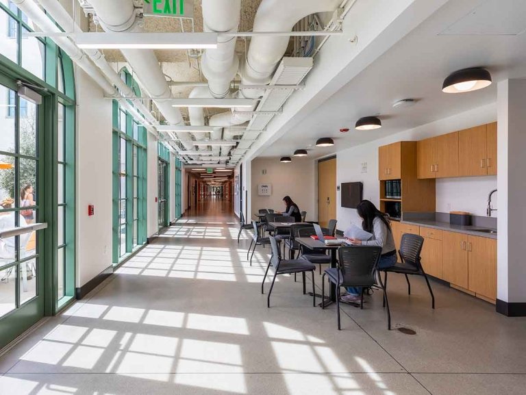 students work in a light-filled study area