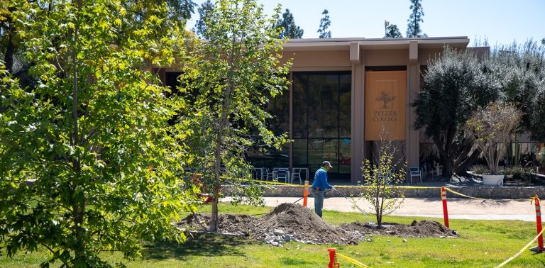A worker waters a newly planted tree on a hill in front of McConnell Center