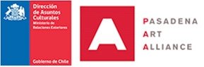 PAA +DIPAC Logo