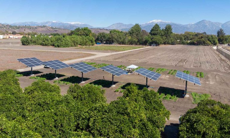 six solar panel agrivoltaics arrays sit in the middle of farmland with mountains in the background