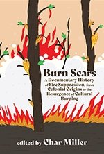a book cover with an illustration of trees burning