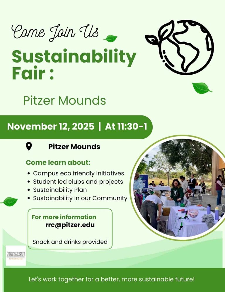 flyer for a sustainability fair with an illustration of the earth. Text on flyer is in the body of the webpage