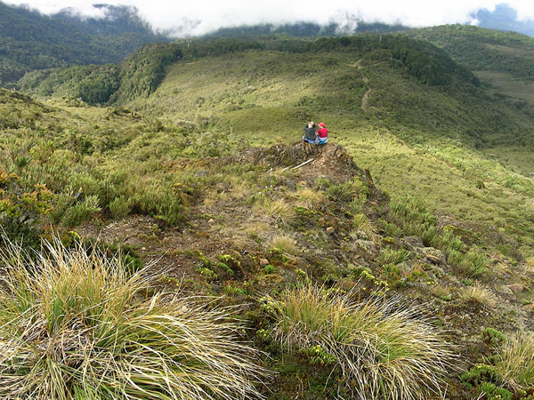 Cerro de la Muerte, Costa Rica